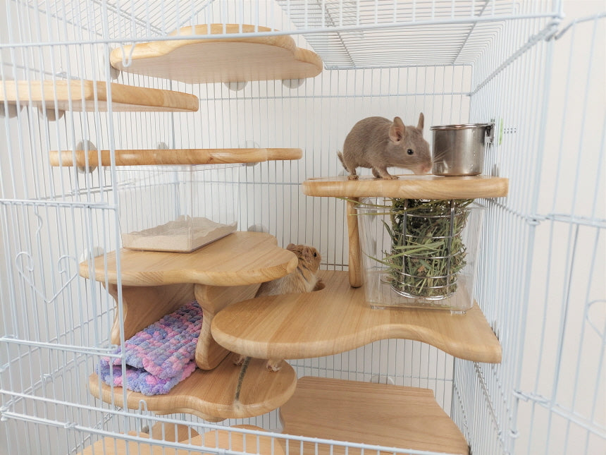 超歓迎 easyhome37-highとその他 デグーマウス、チンチラ 小屋 小動物 