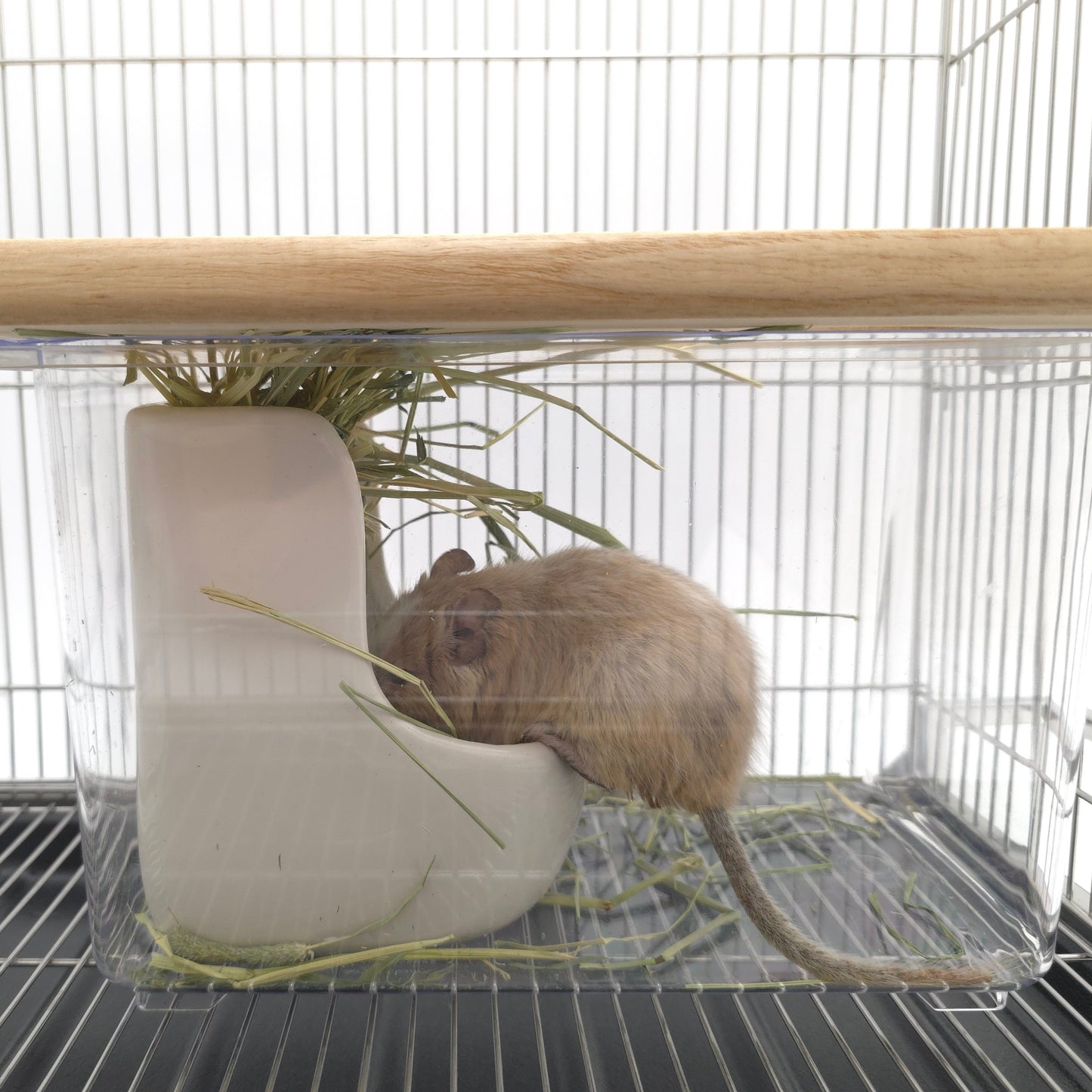 【10秒掃除,デグーケージ】NOBISONステンレス10秒ケージ,2000円相当の無料プレゼント中