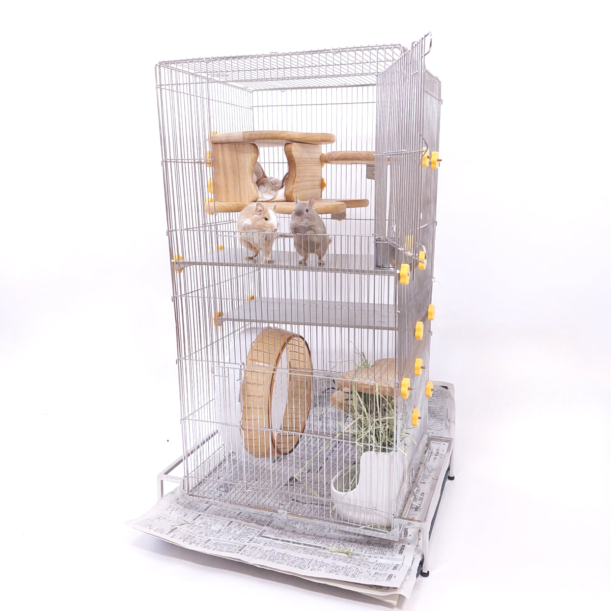 デグー　ケージやフード等 デグー】赤ちゃんデグーでも安心なケージレイアウト！Degu Cage Tour